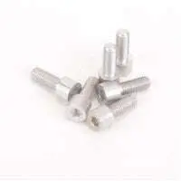 Schumacher Pan Car Wheel Screws 1